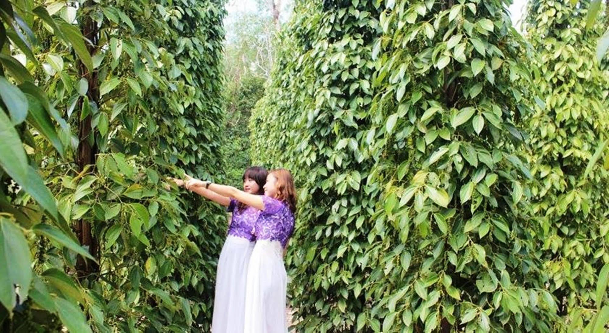Pepper Farm Phu Quoc Exterior foto