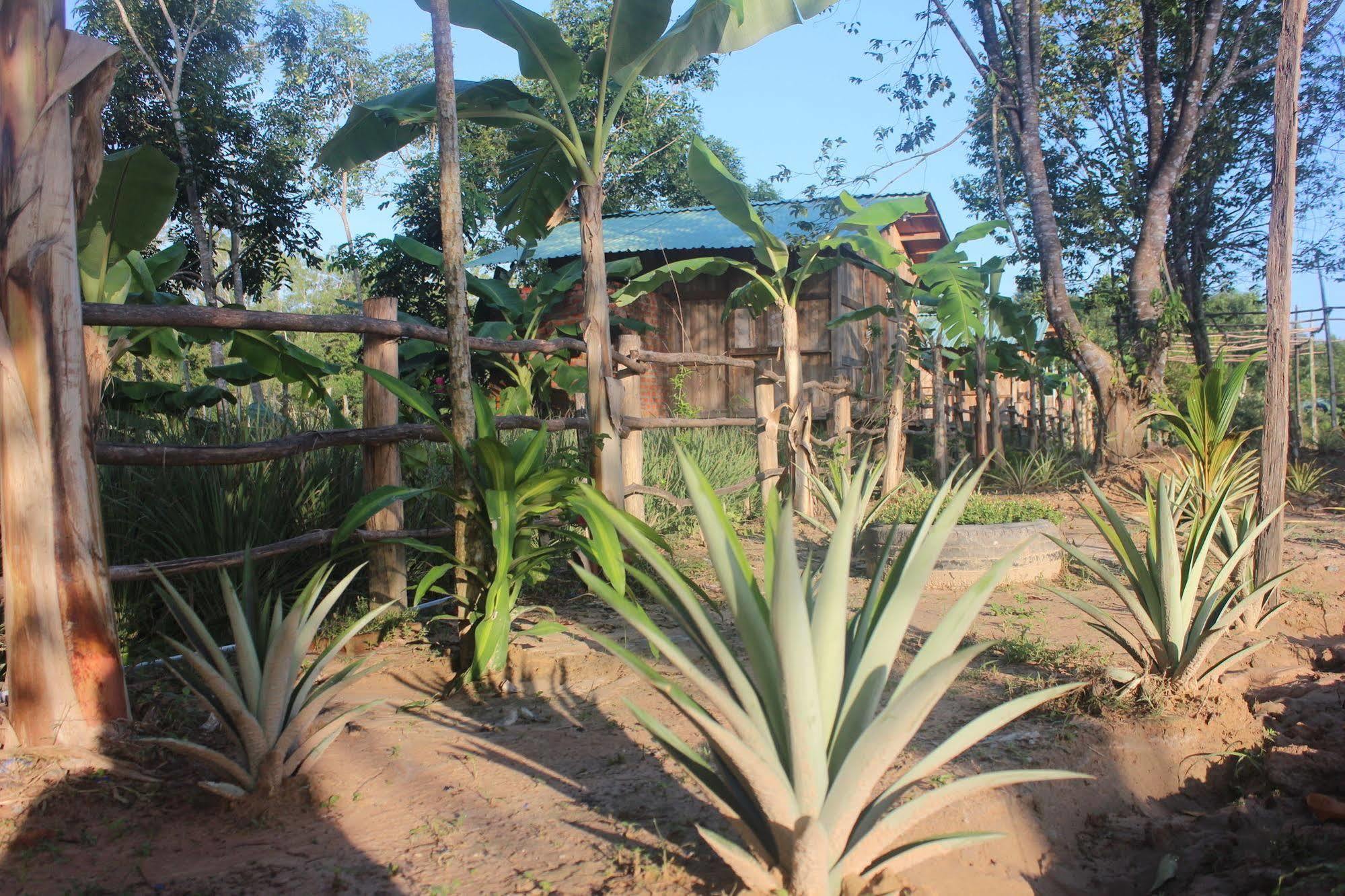 Pepper Farm Phu Quoc Exterior foto