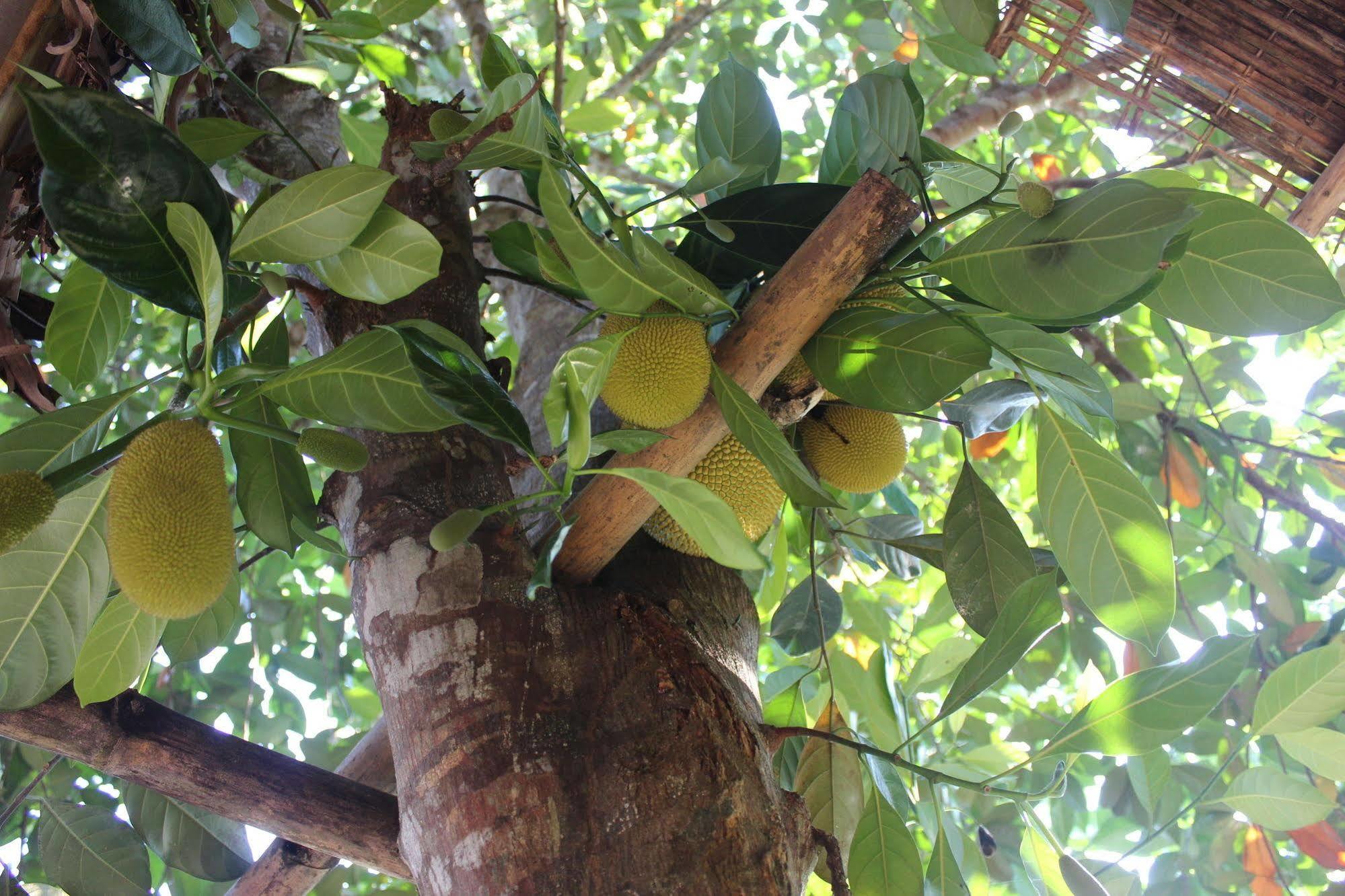 Pepper Farm Phu Quoc Exterior foto