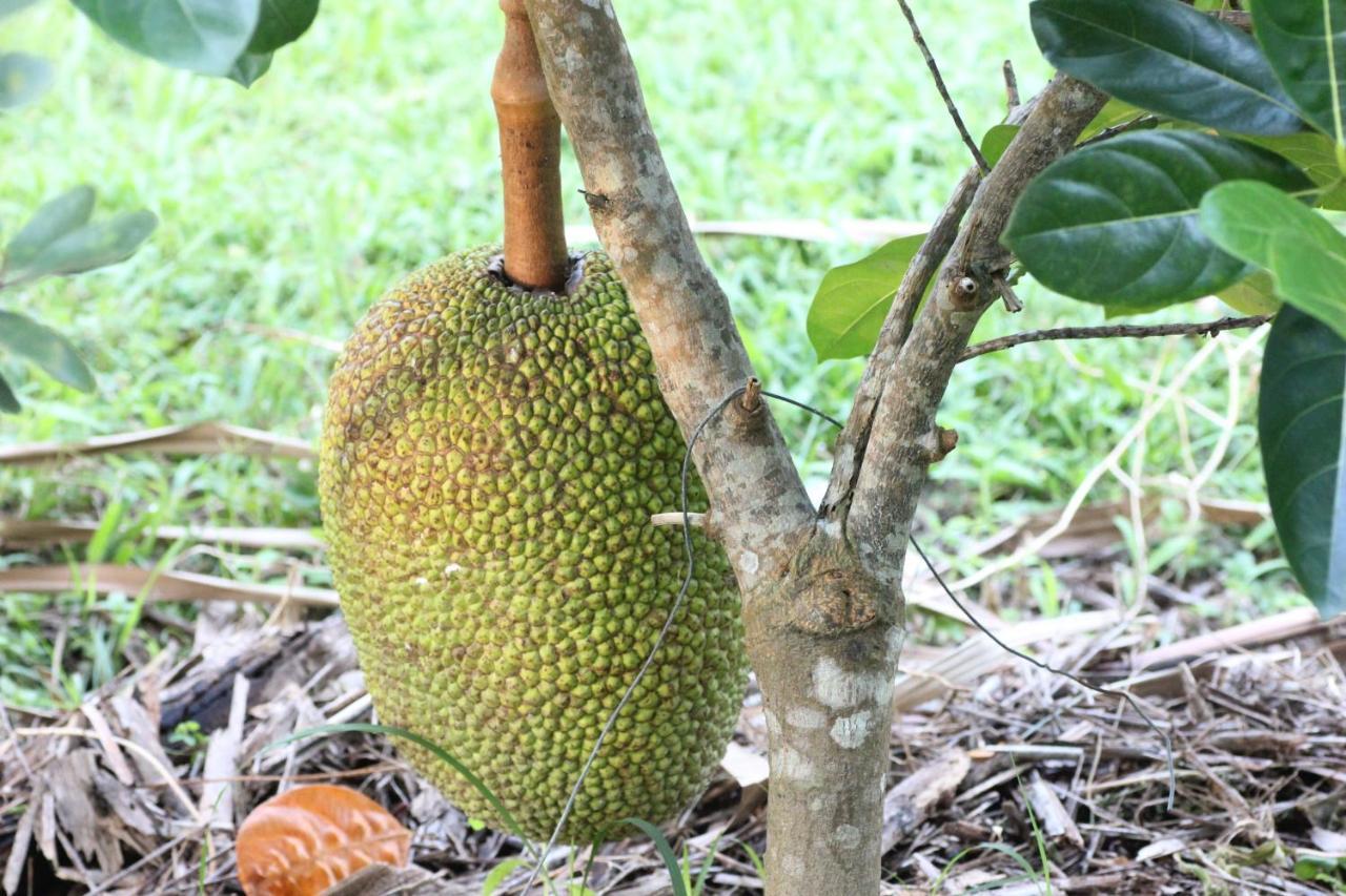 Pepper Farm Phu Quoc Exterior foto